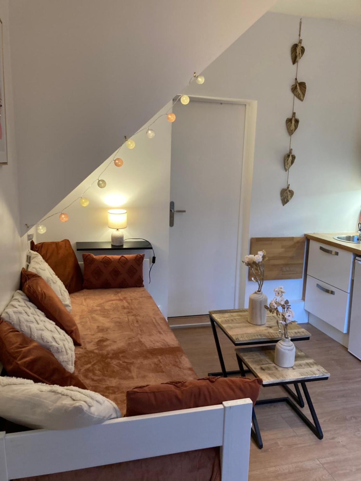 Exceptionnel Au Coeur De Lille Apartment Ngoại thất bức ảnh